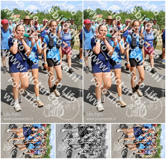 Evenement foto: Nijmeegse Vierdaagse 1067
