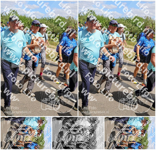 Evenement foto: Nijmeegse Vierdaagse 1067
