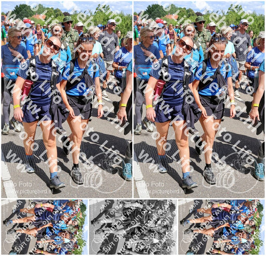 Evenement foto: Nijmeegse Vierdaagse 1067