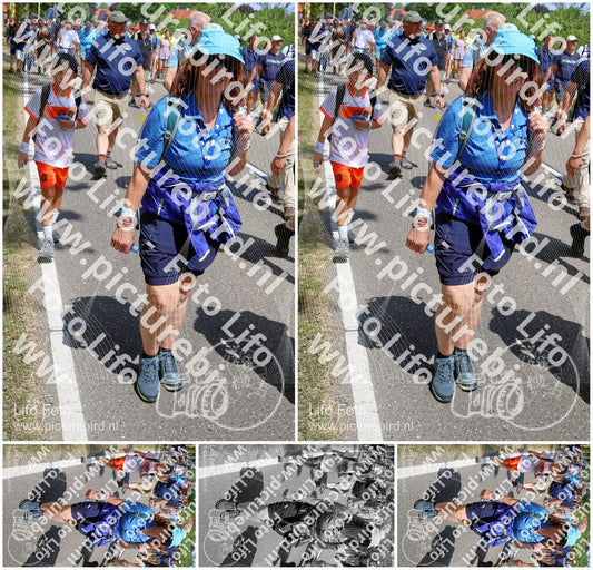 Evenement foto: Nijmeegse Vierdaagse 1067