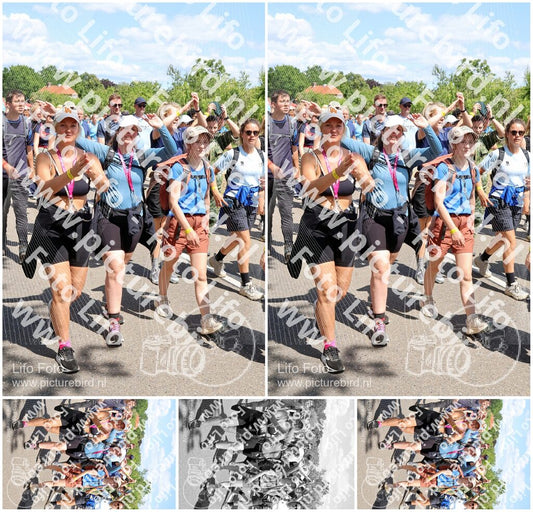 Evenement foto: Nijmeegse Vierdaagse 1067