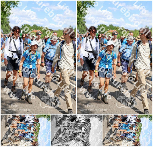 Evenement foto: Nijmeegse Vierdaagse 1067