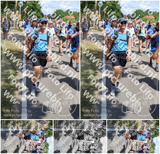 Evenement foto: Nijmeegse Vierdaagse 1067