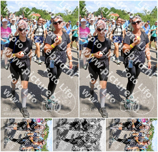Evenement foto: Nijmeegse Vierdaagse 1067