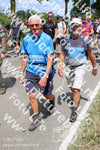 Evenement foto: Nijmeegse Vierdaagse 1066