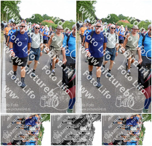 Evenement foto: Nijmeegse Vierdaagse 1066