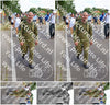 Evenement foto: Nijmeegse Vierdaagse 1066
