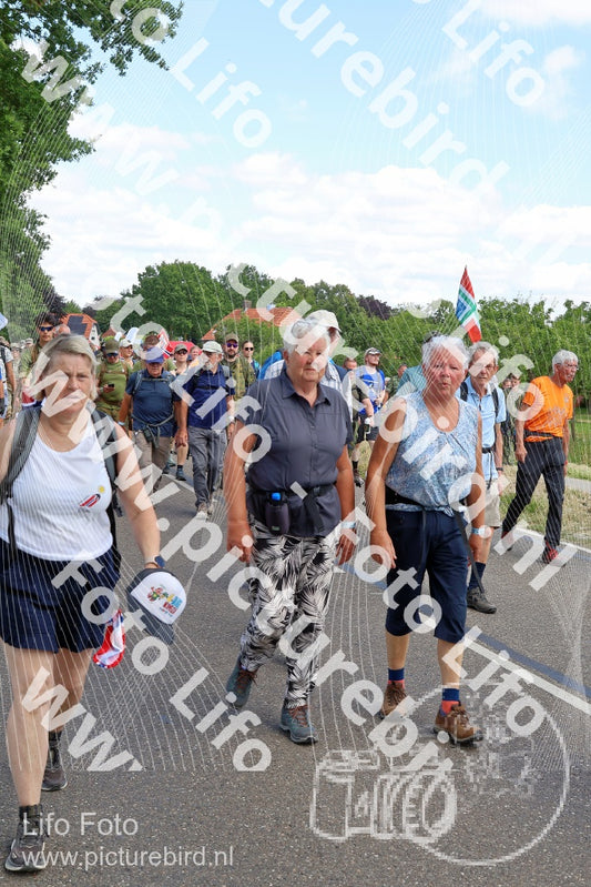 Evenement foto: Nijmeegse Vierdaagse 1066