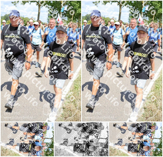 Evenement foto: Nijmeegse Vierdaagse 1065
