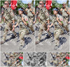 Evenement foto: Nijmeegse Vierdaagse 1065