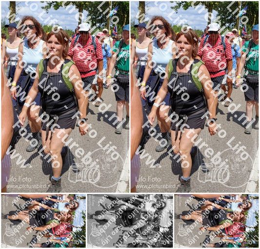 Evenement foto: Nijmeegse Vierdaagse 1065