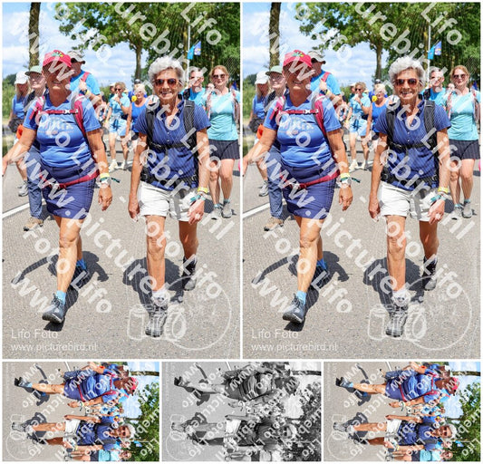 Evenement foto: Nijmeegse Vierdaagse 1065