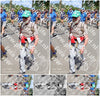 Evenement foto: Nijmeegse Vierdaagse 1065