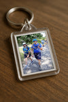 Evenement foto: Nijmeegse Vierdaagse 1064