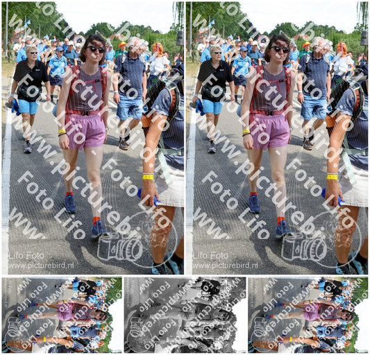 Evenement foto: Nijmeegse Vierdaagse 1064