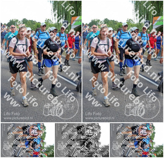 Evenement foto: Nijmeegse Vierdaagse 1064