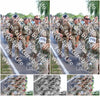 Evenement foto: Nijmeegse Vierdaagse 1064