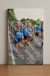 Evenement foto: Nijmeegse Vierdaagse 1064