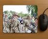 Evenement foto: Nijmeegse Vierdaagse 1064