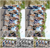 Evenement foto: Nijmeegse Vierdaagse 1064