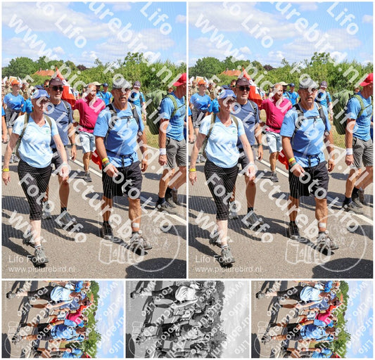 Evenement foto: Nijmeegse Vierdaagse 1064