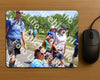 Evenement foto: Nijmeegse Vierdaagse 1064