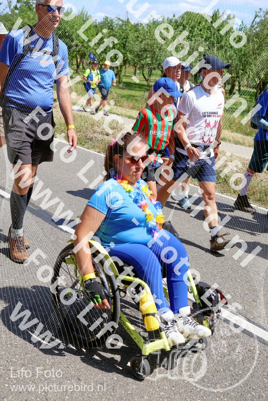 Evenement foto: Nijmeegse Vierdaagse 1064