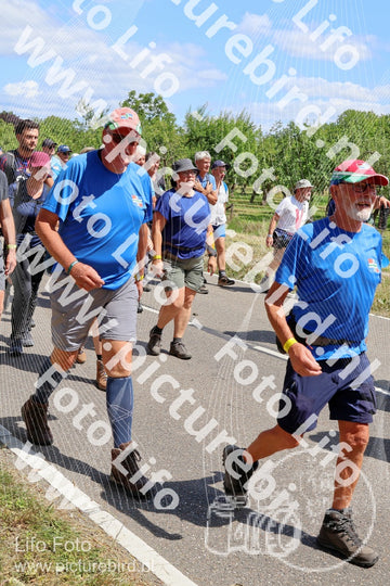 Evenement foto: Nijmeegse Vierdaagse 1064