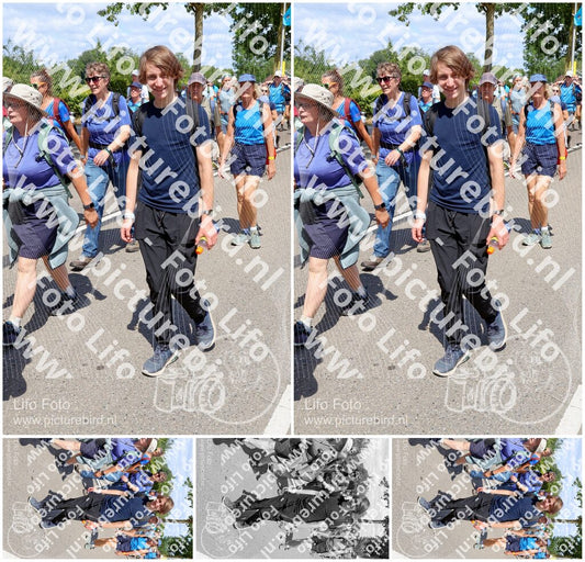 Evenement foto: Nijmeegse Vierdaagse 1064