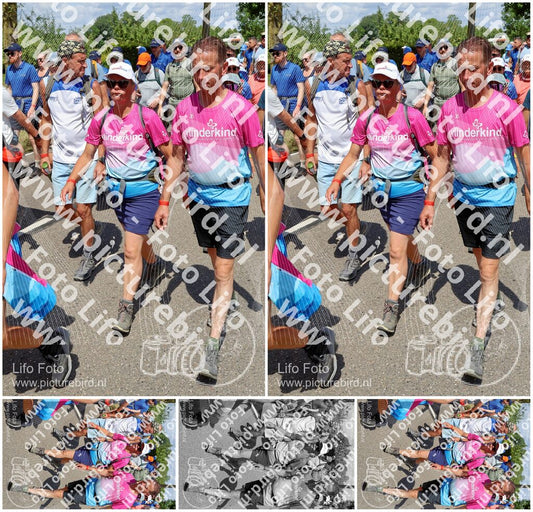 Evenement foto: Nijmeegse Vierdaagse 1064
