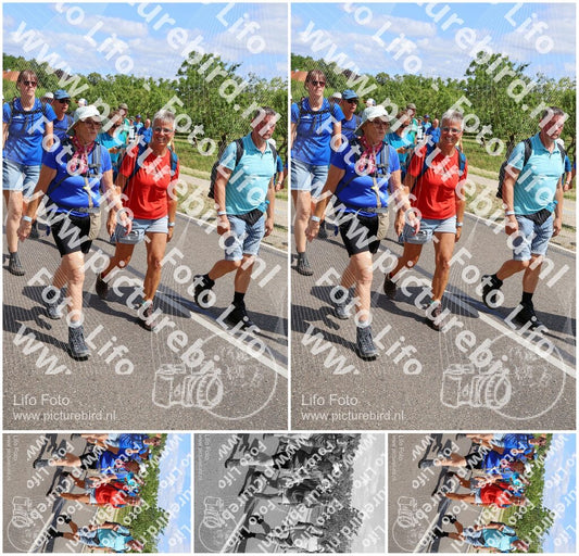 Evenement foto: Nijmeegse Vierdaagse 1063