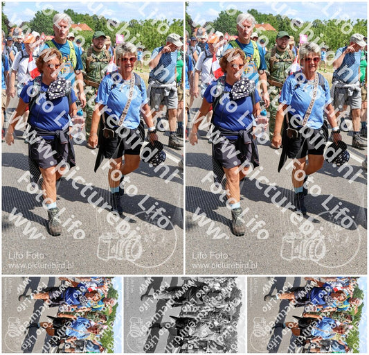 Evenement foto: Nijmeegse Vierdaagse 1063