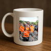 Evenement foto: Nijmeegse Vierdaagse 1063