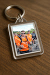 Evenement foto: Nijmeegse Vierdaagse 1063