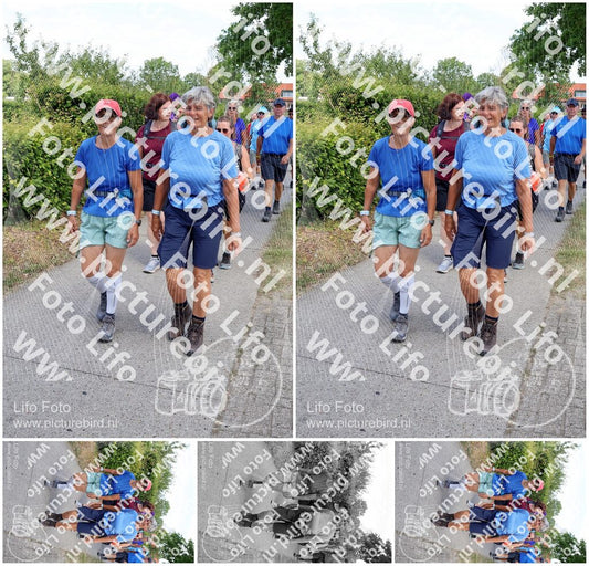 Evenement foto: Nijmeegse Vierdaagse 1063