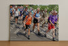 Evenement foto: Nijmeegse Vierdaagse 1063