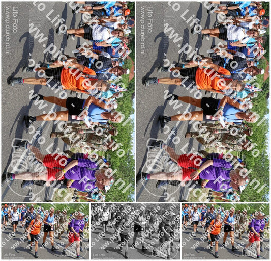 Evenement foto: Nijmeegse Vierdaagse 1063
