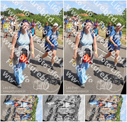 Evenement foto: Nijmeegse Vierdaagse 1063