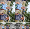 Evenement foto: Nijmeegse Vierdaagse 1062