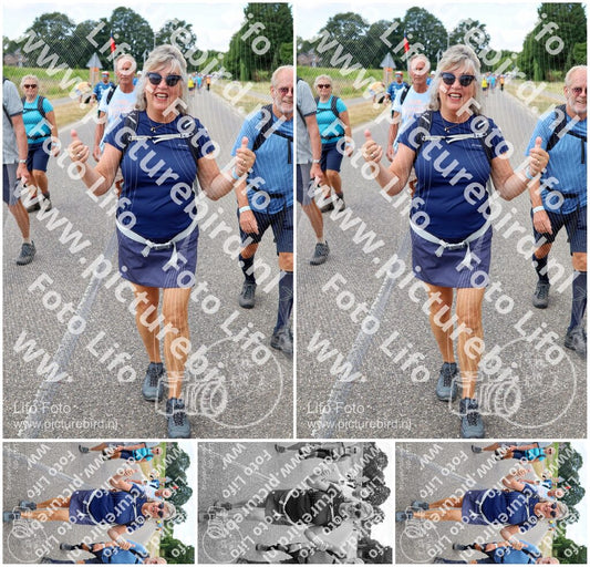 Evenement foto: Nijmeegse Vierdaagse 1062