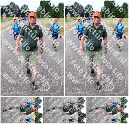 Evenement foto: Nijmeegse Vierdaagse 1062