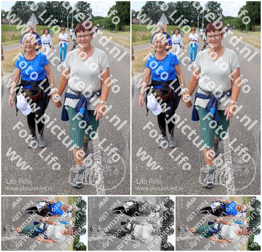 Evenement foto: Nijmeegse Vierdaagse 1062