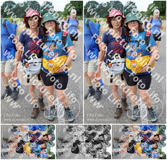 Evenement foto: Nijmeegse Vierdaagse 1062