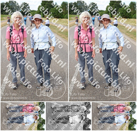 Evenement foto: Nijmeegse Vierdaagse 1062