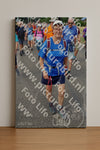 Evenement foto: Nijmeegse Vierdaagse 1061
