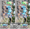 Evenement foto: Nijmeegse Vierdaagse 1061