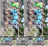 Evenement foto: Nijmeegse Vierdaagse 1061