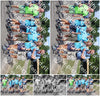 Evenement foto: Nijmeegse Vierdaagse 1061