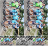 Evenement foto: Nijmeegse Vierdaagse 1061