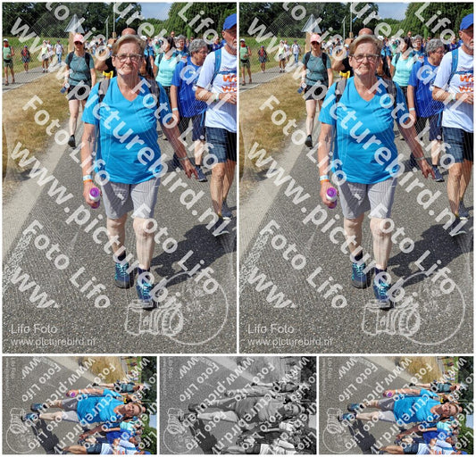 Evenement foto: Nijmeegse Vierdaagse 1060